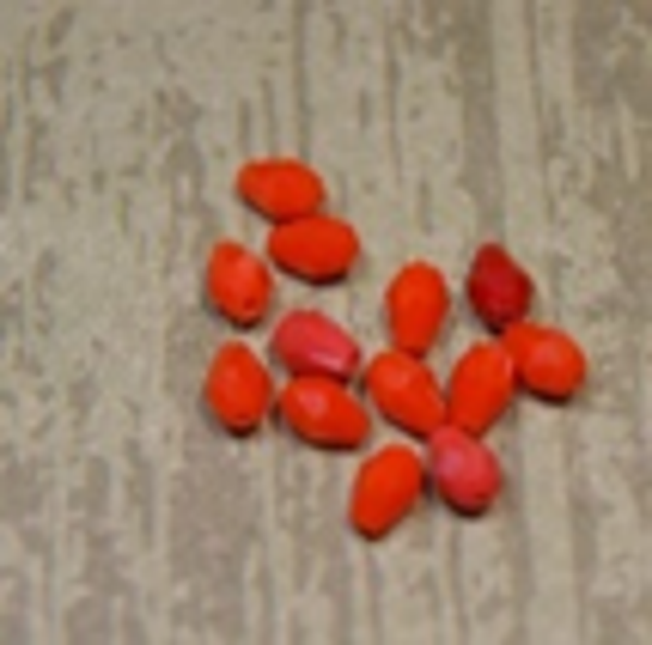 perle cristal ORANGE ovale