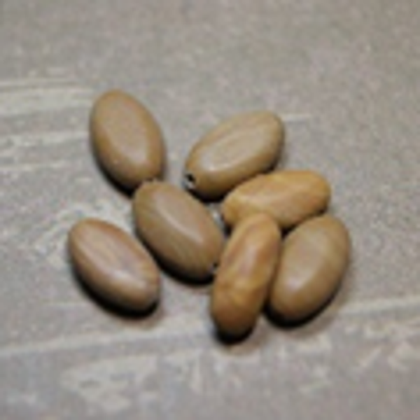 perle JASPE MARRON 12x7