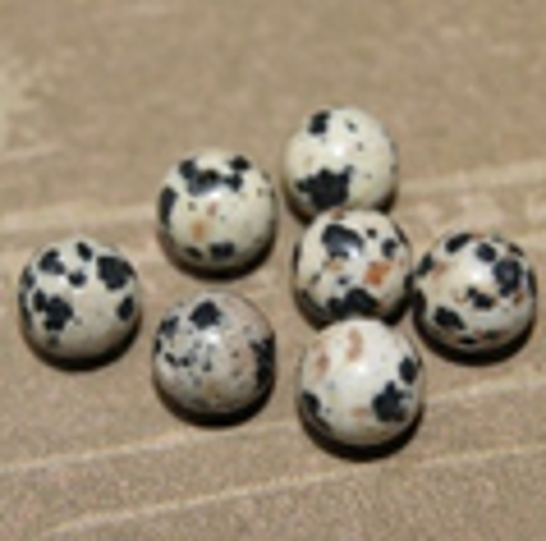 perle jaspe dalmatien Ø8