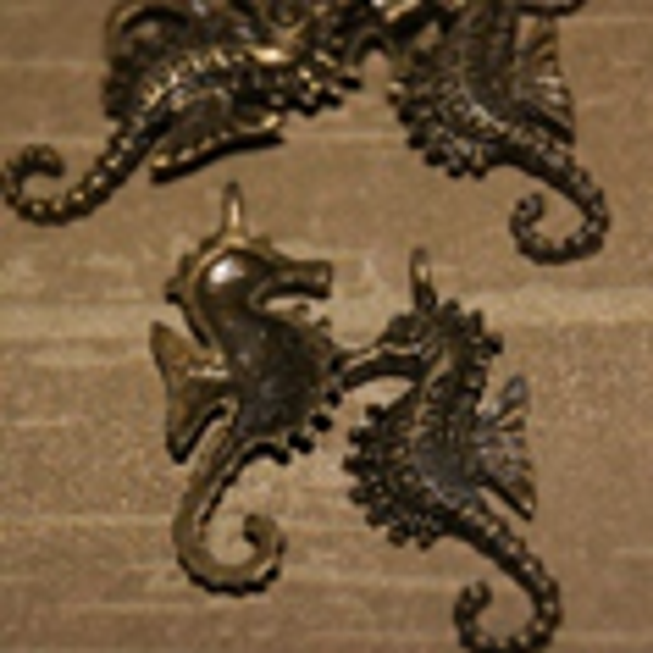 hippocampe (B) 14x30