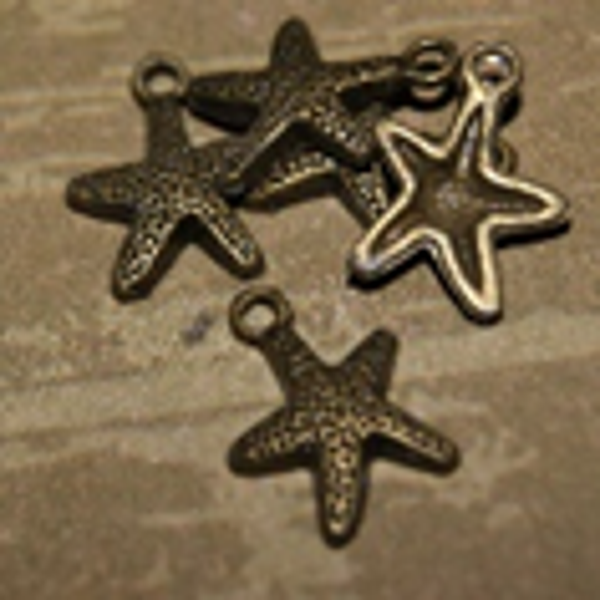 etoile de mer(B) 13x17