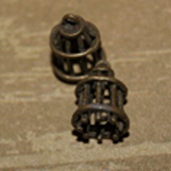 cage  oiseau(B) 10x17