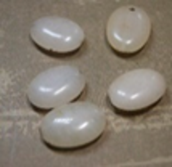 perle agate 13x17