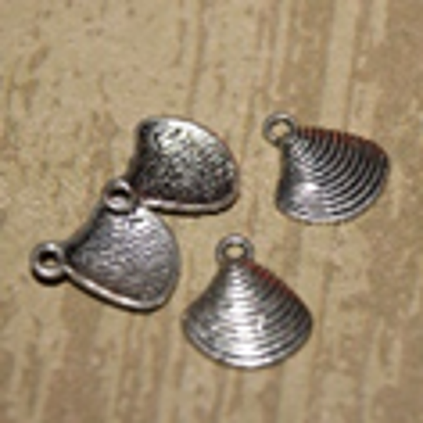 coquillage clams 13x15