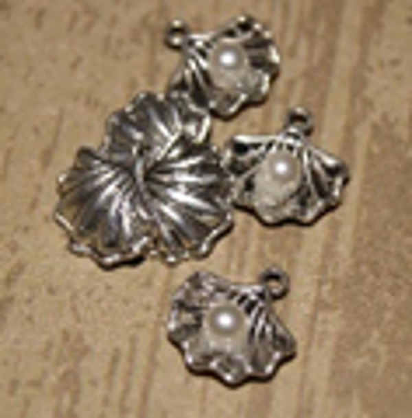 coquillage perle 15x15
