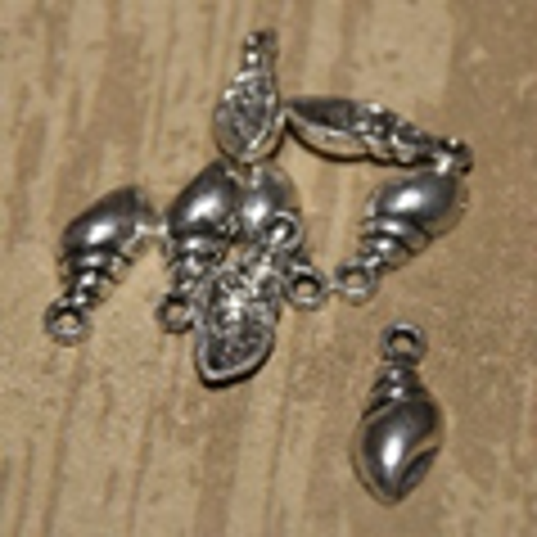 coquillage bigorneau 15x6