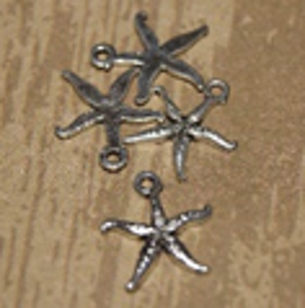 étoile de mer 17x16