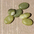 perle jade ovale VERT 8x12
