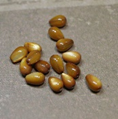 perle nacre goutte MARRON 7x5