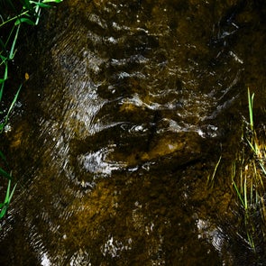 _dsc0094-standard.jpg