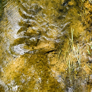 _dsc0095-standard.jpg