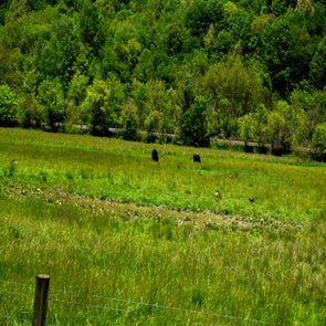 _dsc0105-standard.jpg