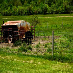 _dsc0106-standard.jpg