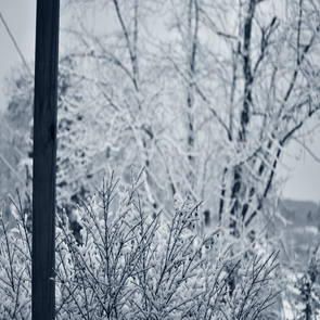 black-and-white-standard-kkftt9.png