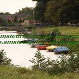 IMG_9804-1.jpg