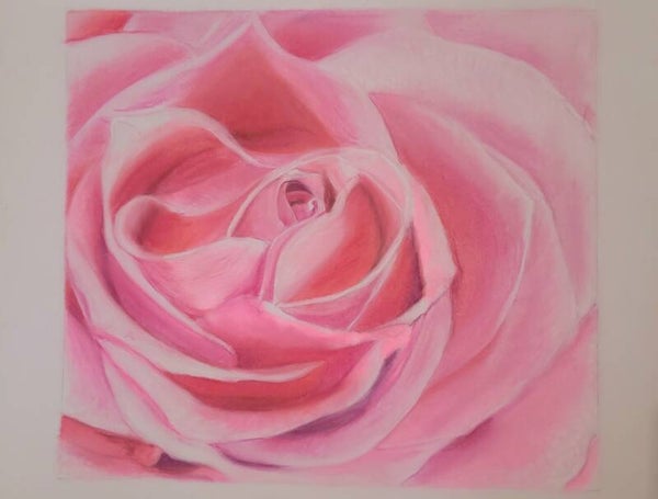 Rose pastel