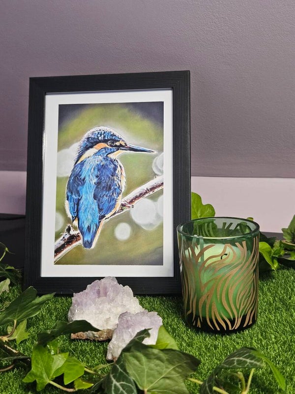 L'observateur carte photo