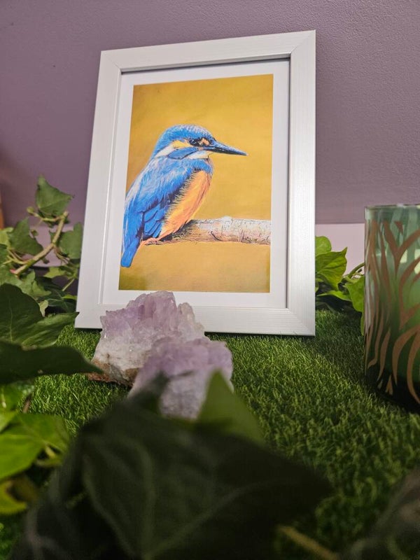 Kingfisher carte photo