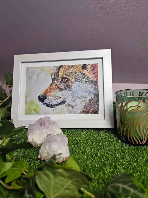 Le loup observateur carte photo