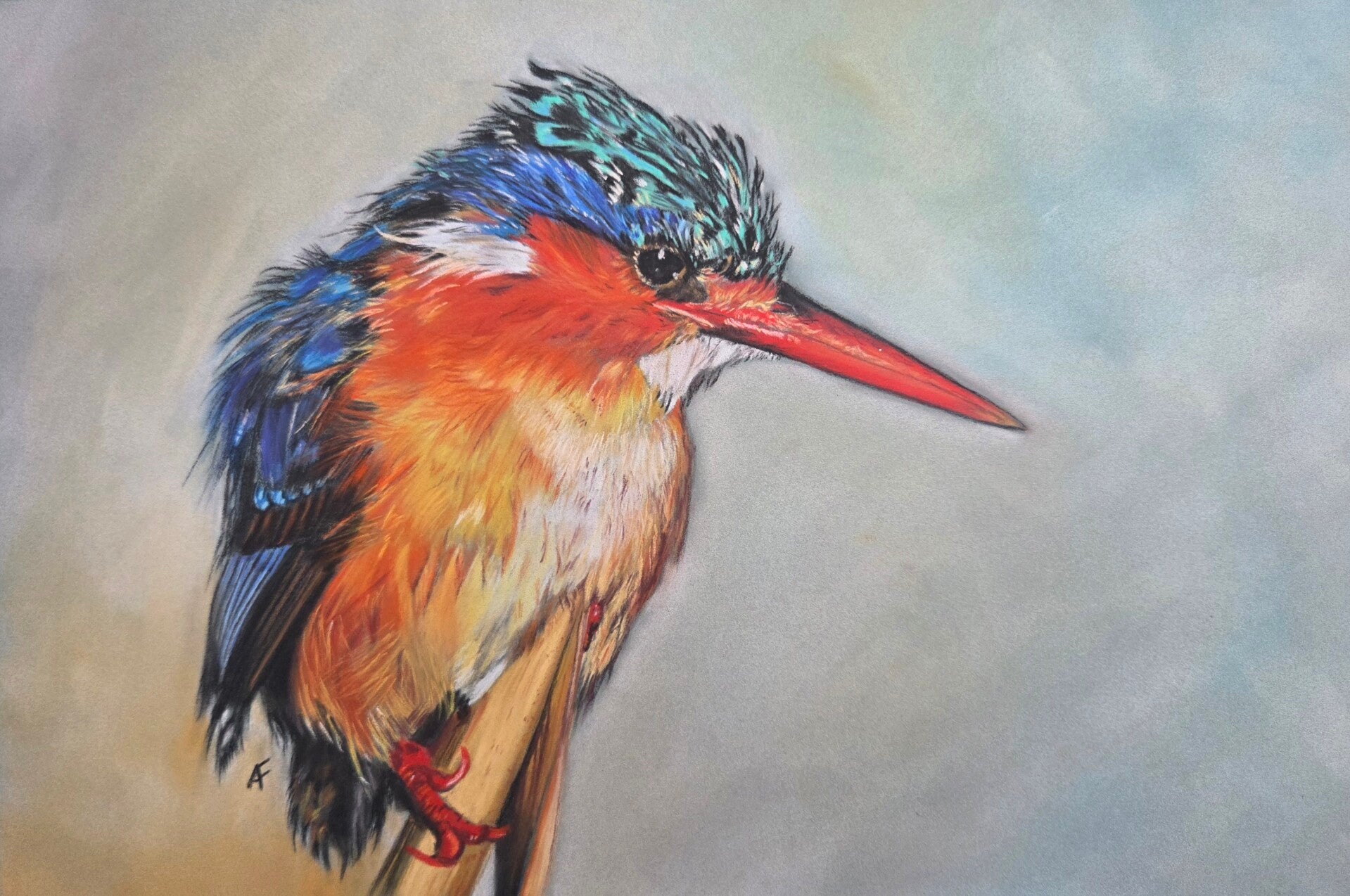 Silence ailé portait Martin-pêcheur œuvres originales