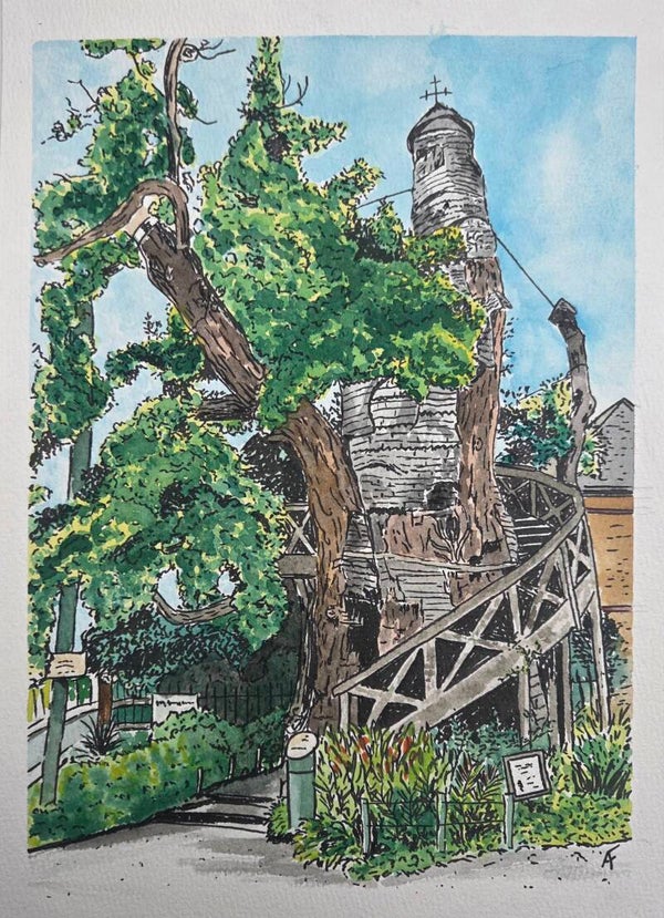 Chêne d'Allouville-Bellefosse (aquarelle)