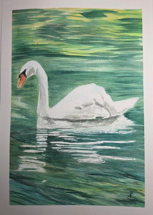 Le cygne (aquarelle)