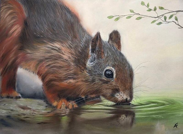 Frimousse portait animalier