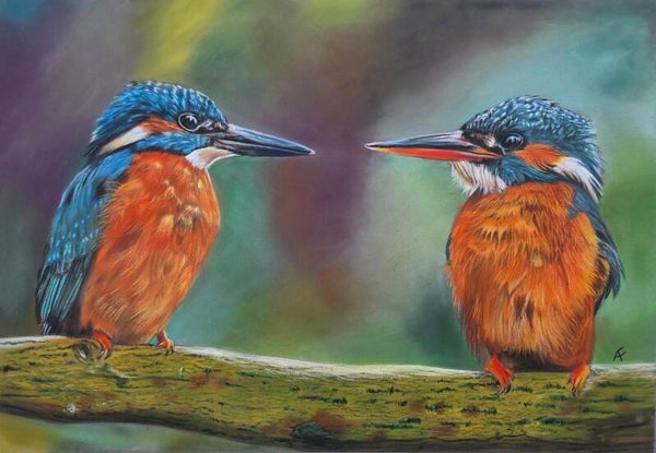 Martin et Martine portrait animalier