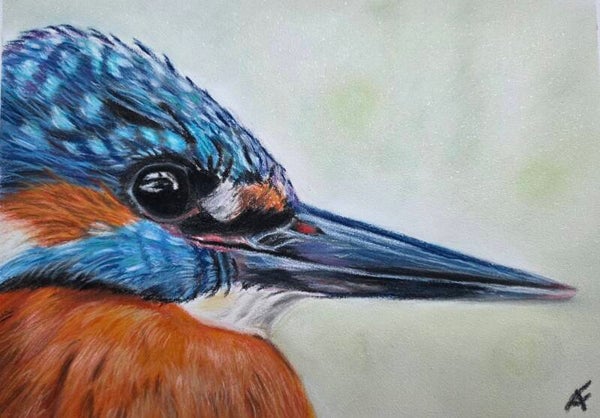 Alcyon, œuvre originale, pastel sec