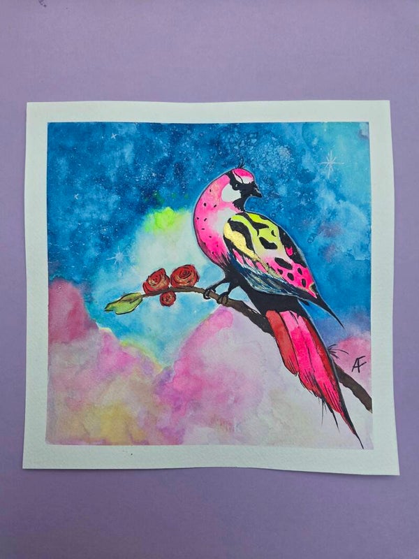 Oiseaux magique