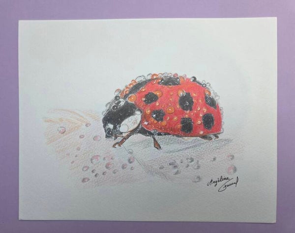 Coccinelle mouillé