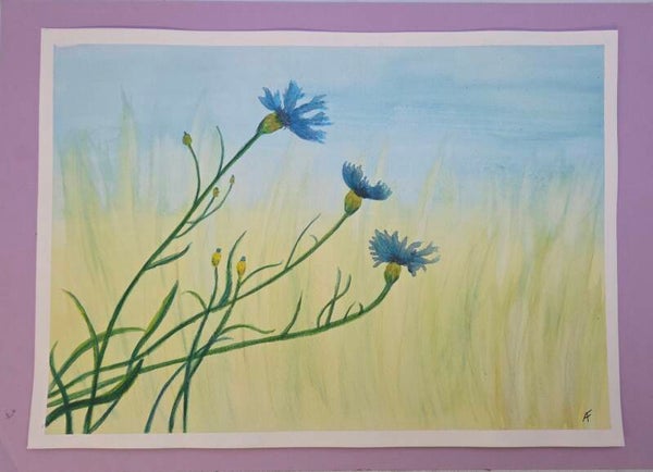 Les bleuets
