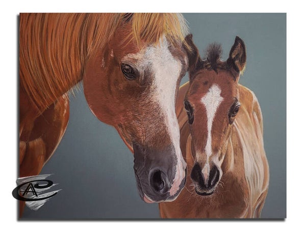 La jument et son poulain