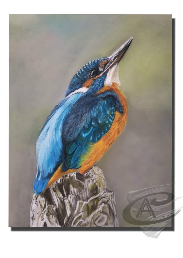 martin-pêcheur pastel sec  ( vendu )