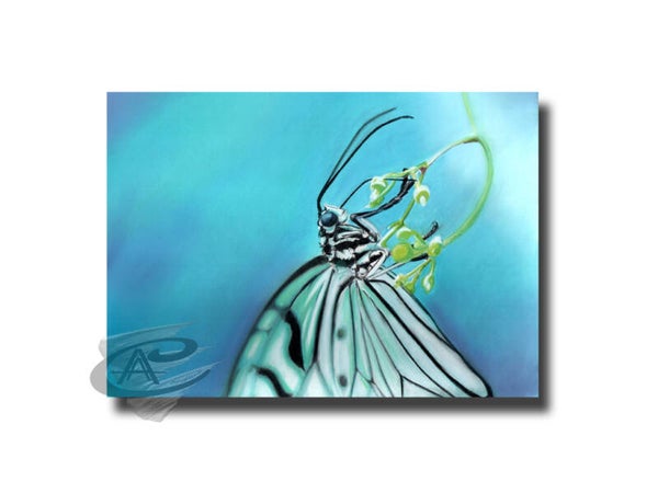 papillon bleu pastel sec