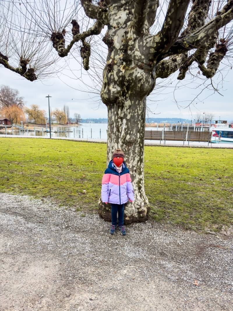 ausflug-an-den-bodensee-standard-xwbru9.jpg