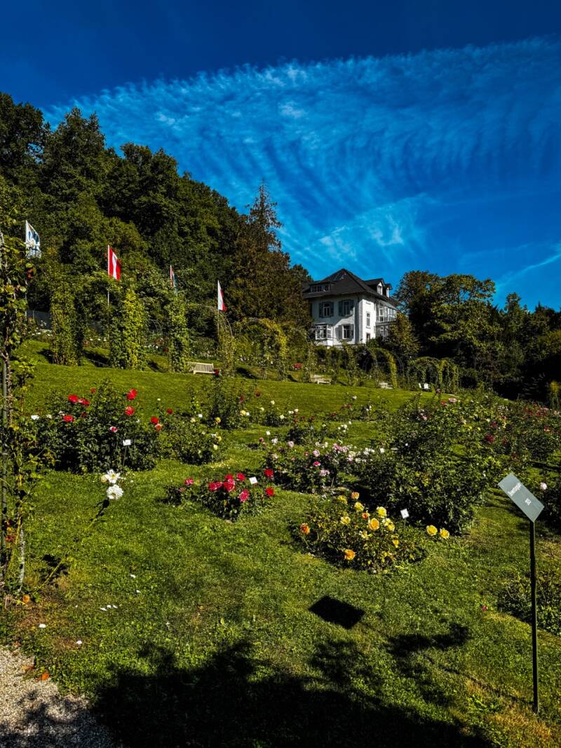 ausflug-zum-rosengarten-baden-baden-standard.jpg