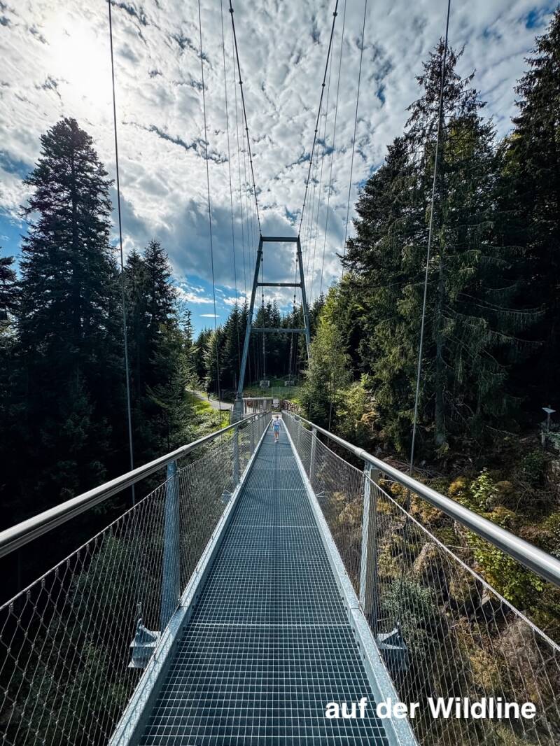 ausflug-zur-wildline-bruecke-standard.jpg