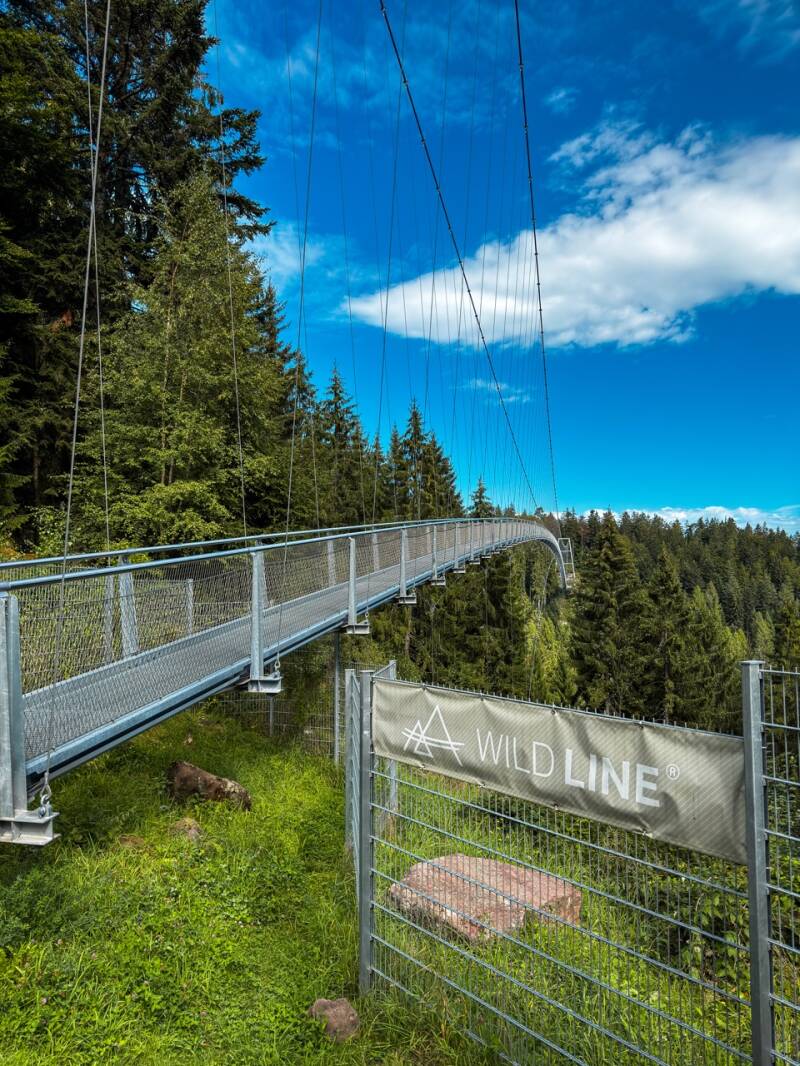 ausflugsziel-bad-wildbad-wildline-standard.jpg