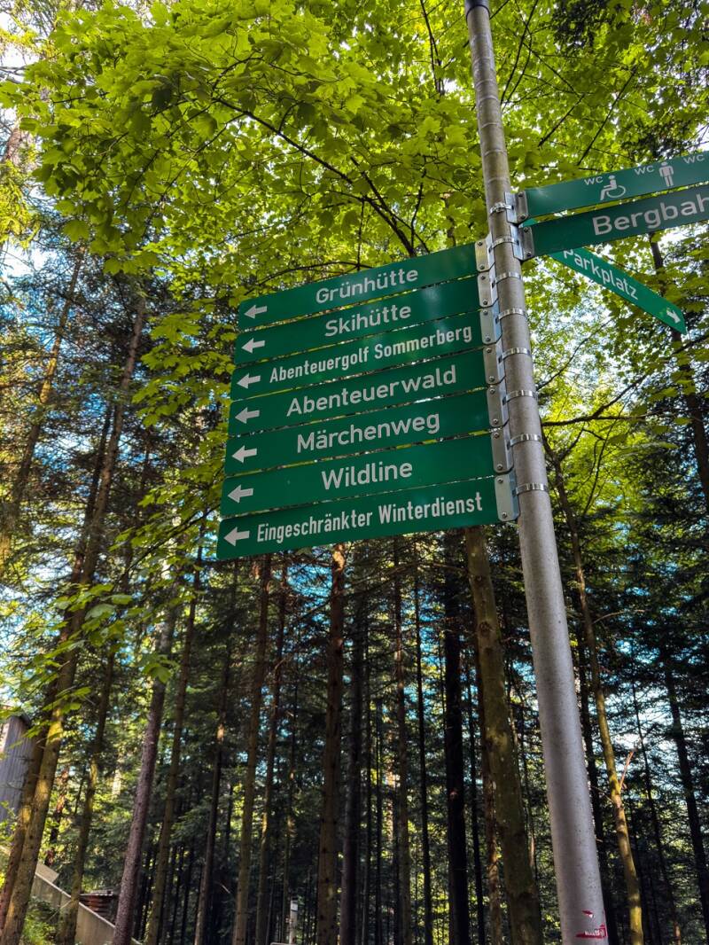 ausflugsziel-sommerberg-bad-wildbad-standard.jpg