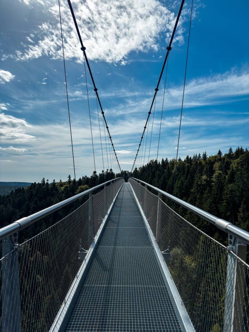 aussicht-von-der-wildline-bruecke-standard.jpg