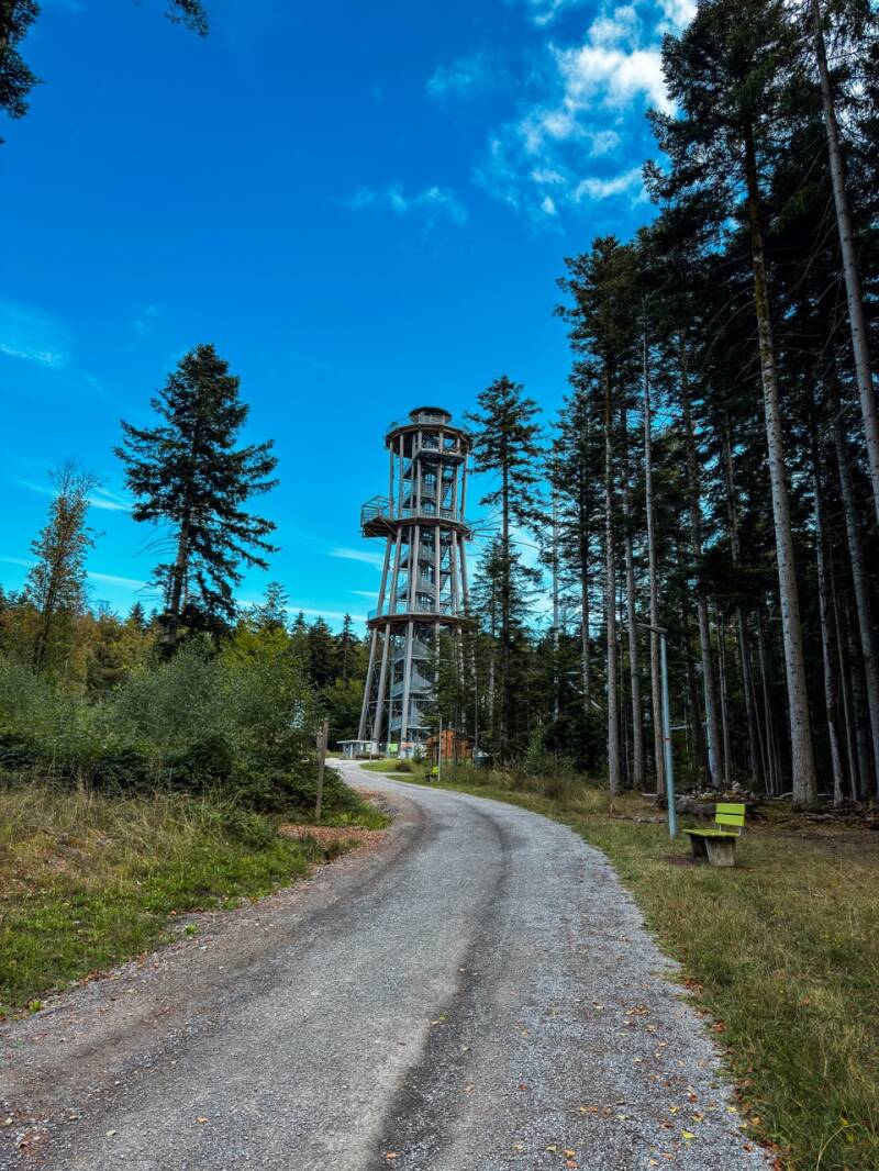 aussichtsturm-schoemberg-standard.jpg