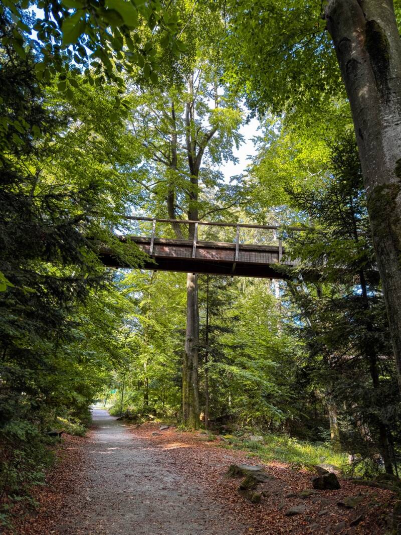 bad-wildbad-sommerberg-ausflugsziel-standard.jpg