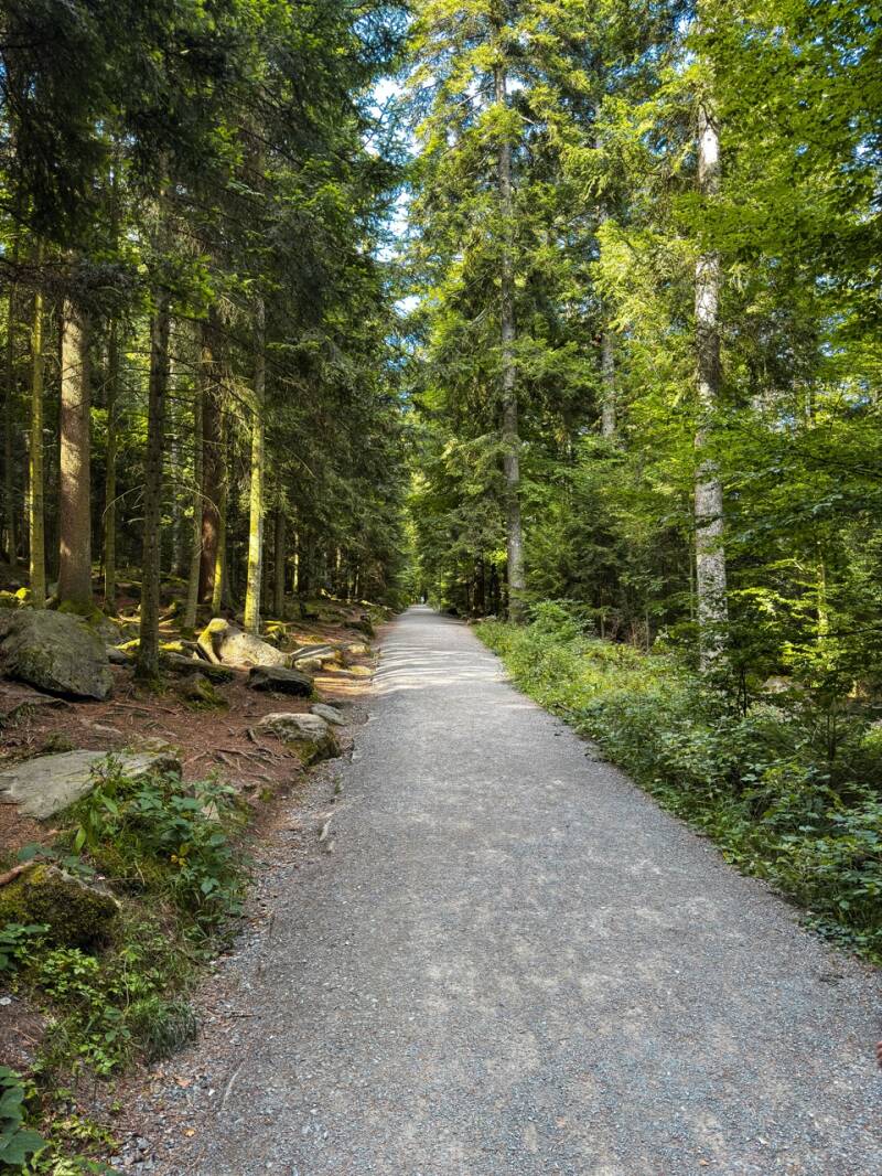 bad-wildbad-sommerberg-familie-standard.jpg