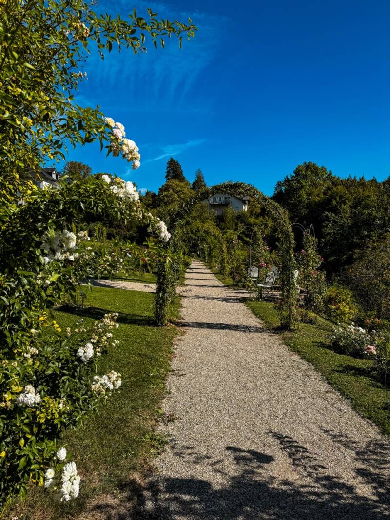 baden-baden-im-september-standard.jpg