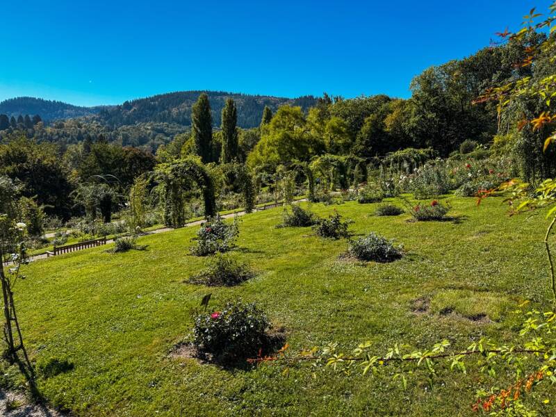 baden-baden-rosenneuheitengarten-standard.jpg