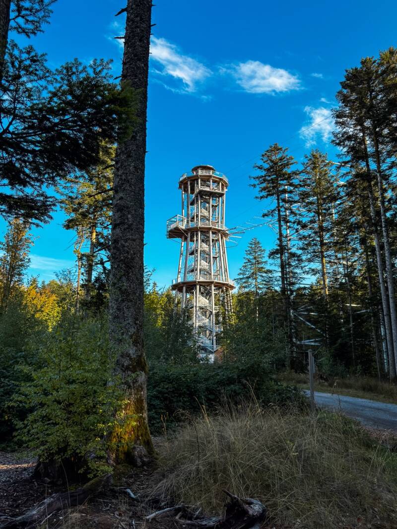 der-turm-in-schoemberg-standard.jpg