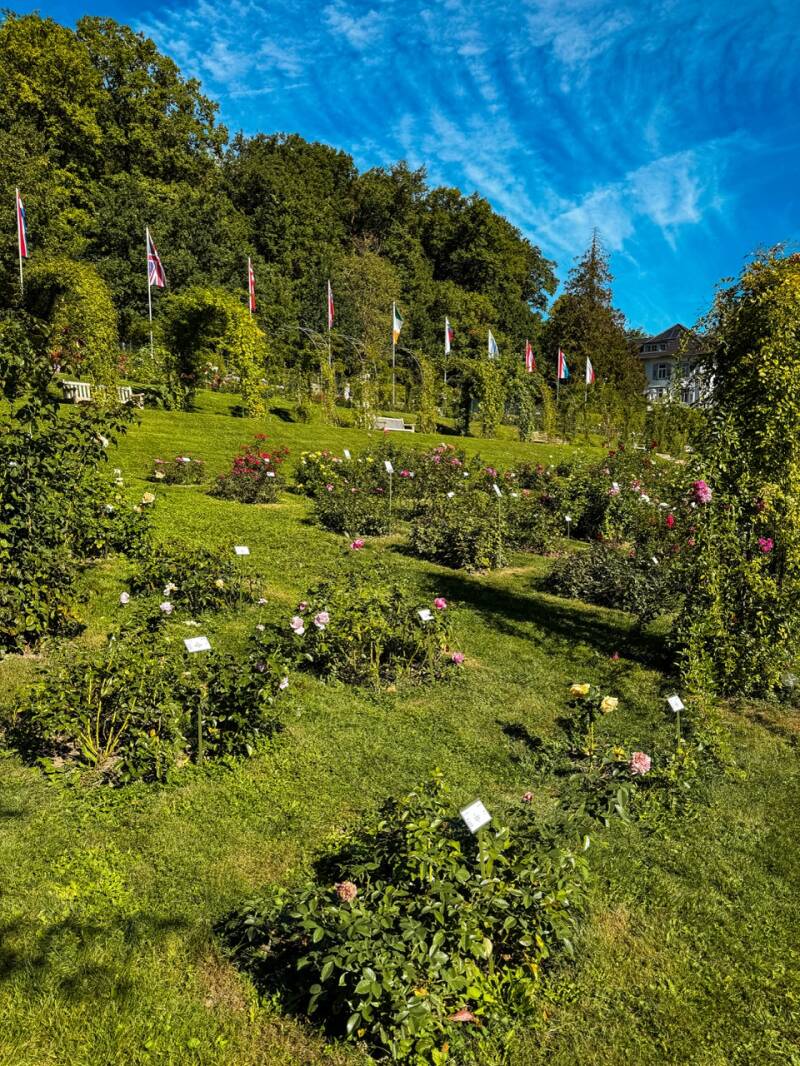 familie-wochenende-baden-baden-standard.jpg