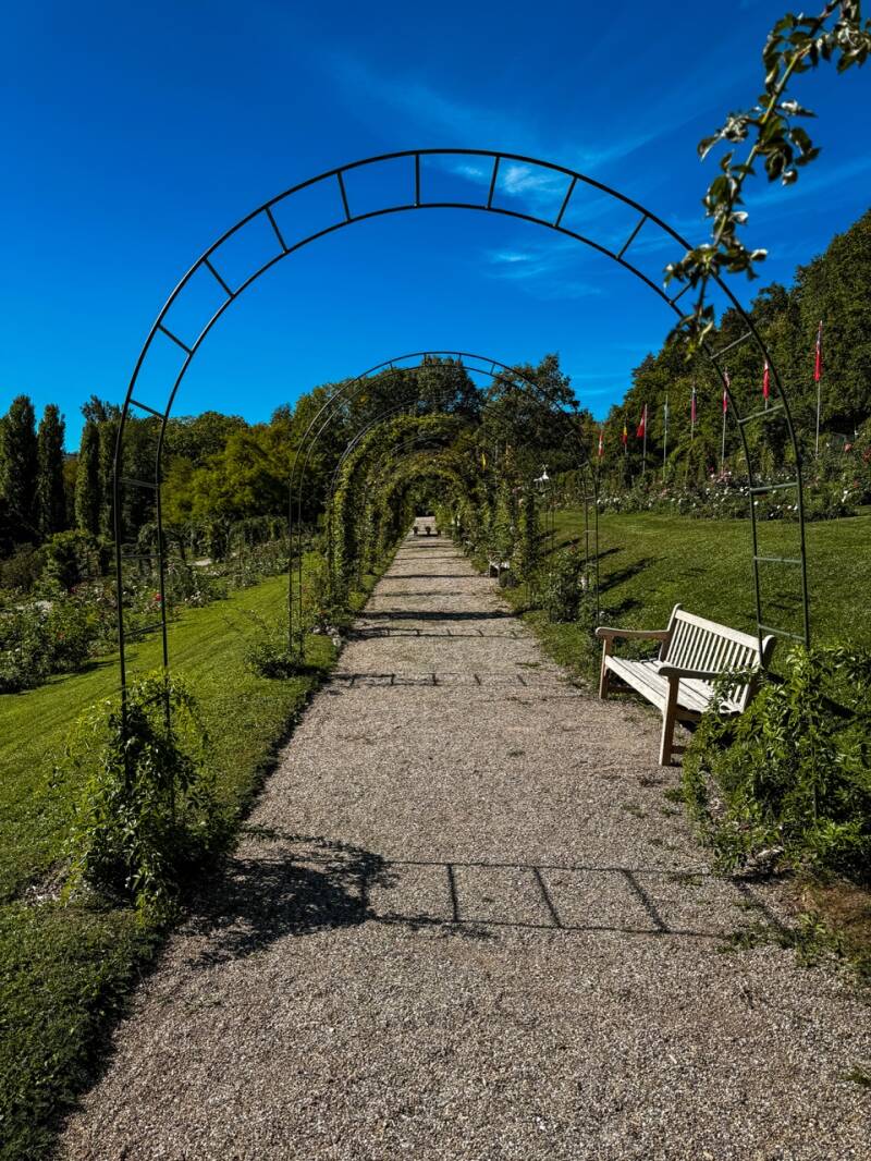 familienausflug-rosengarten-baden-baden-standard.jpg