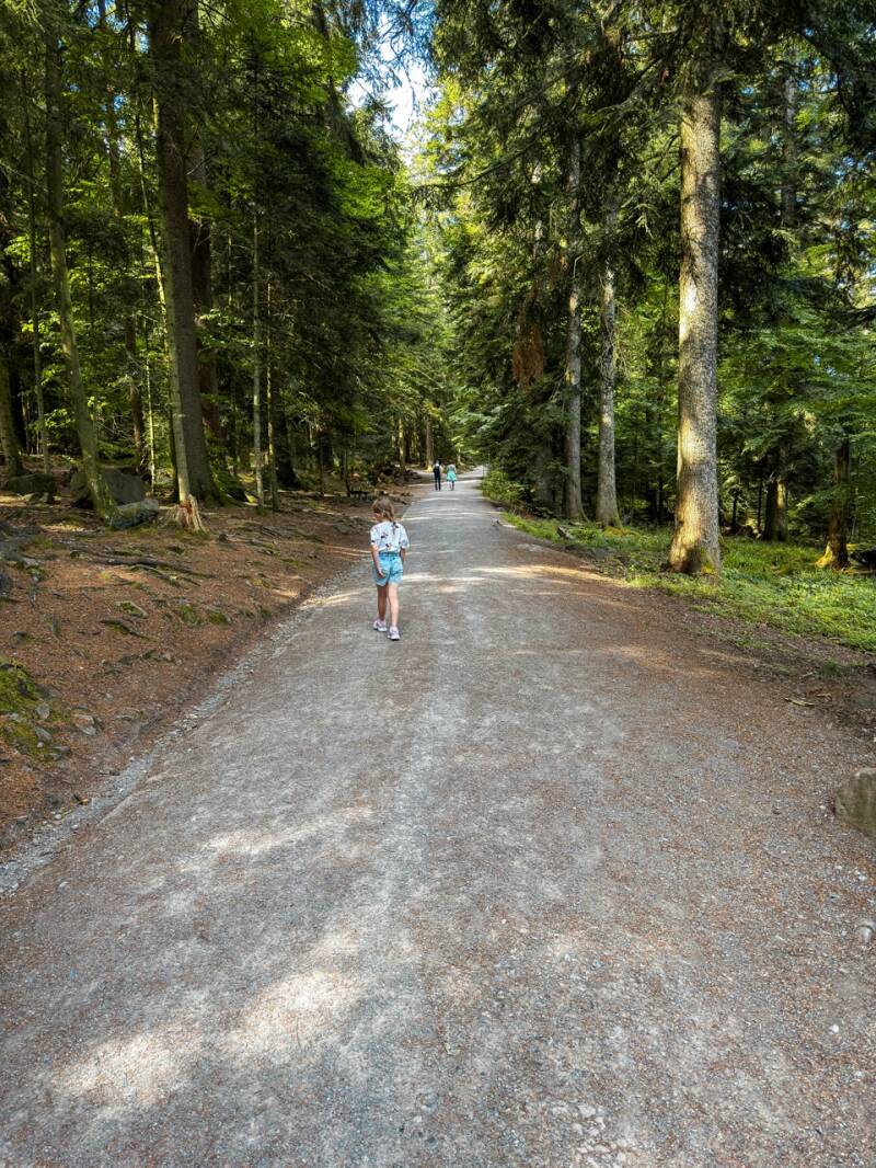 familienausflug-sommerberg-schwarzwald-standard.jpg
